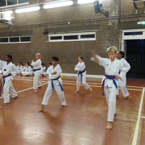 New Eltham Soulja Taekwondo Academy Session Classes Club New Eltham Soulja Taekwondo Academy Session Classes Club